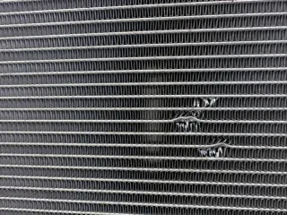 6600012887 Радиатор (основной) Geely Coolray Арт 2-186310, вид 9