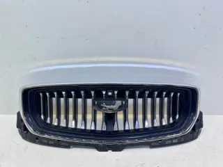 6013044700 Решетка радиатора Geely Monjaro Арт 2-187446, вид 1