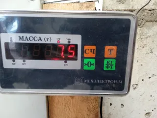 7251Q5 Усилитель бампера заднего Peugeot 307 Арт 2-225655, вид 9