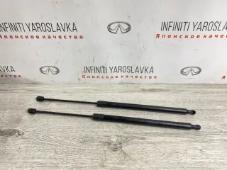 7P6827550 Амортизаторы багажника Volkswagen Touareg 2 Арт 2-244869, вид 1