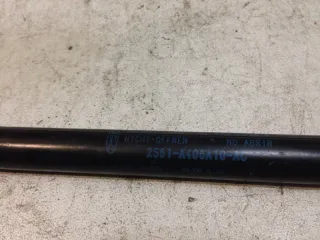 2S61A406A10AC Амортизатор крышки багажника (3-5 двери) Ford Fiesta 6 Арт 2-296199, вид 2