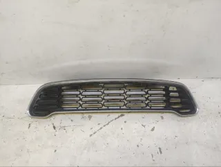 51139807476 Решетка радиатора MINI COUNTRYMAN R60 Арт 2-340781, вид 1