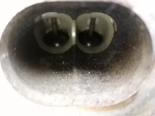 10102BB01F Двигатель Nissan Qashqai 1  Арт 2-356283, вид 8