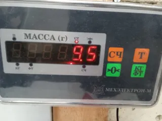 543032Y429 Амортизатор передний Nissan Maxima А33 Арт 2-414161, вид 10