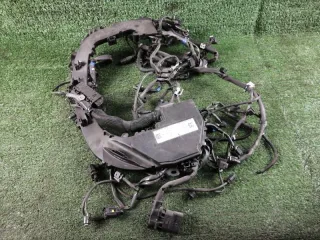 A6421503201 Жгут проводов двигателя Mercedes GLS X166 Арт 2-451228, вид 1