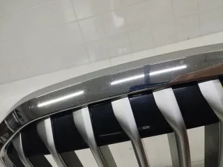 51137454895 Решетка радиатора BMW X7 g07 Арт 2-477985, вид 20