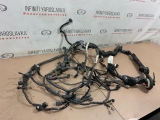240111BP0B Проводка двигателя Infiniti EX Арт 2-491726, вид 2