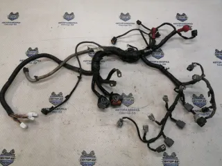 24011JD02B Проводка моторная (коса) Nissan Qashqai 1  Арт 2-595999, вид 1