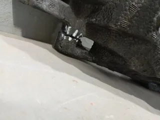 51118088834 Наполнитель переднего бампера BMW 3 G20/G21 Арт 2-616974, вид 3