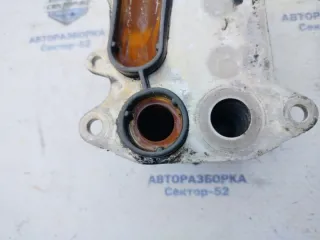 03L117021C Радиатор масляный Volkswagen Caddy 1 Арт 2-677773, вид 4