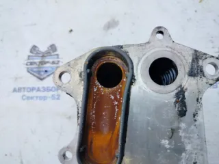 03L117021C Радиатор масляный Volkswagen Caddy 1 Арт 2-677773, вид 5