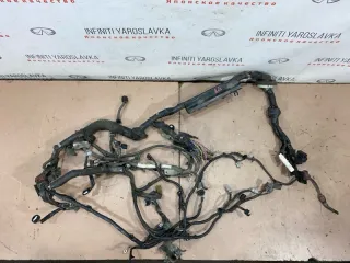 240111MA3B Проводка двигателя Infiniti M (Y50) Арт 2-690828, вид 1