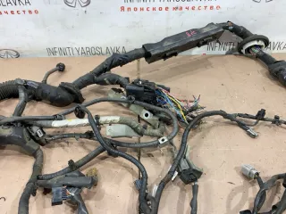 240111MA3B Проводка двигателя Infiniti M (Y50) Арт 2-690828, вид 6