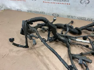 240111MA3B Проводка двигателя Infiniti M (Y50) Арт 2-690828, вид 8