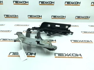 80A823301B Петля капота Audi Q5 2 Арт 2-920268, вид 5