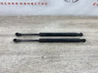 84430EJ20A Амортизаторы багажника Infiniti M (Y50) Арт 2-928996