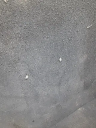 6477033160C1 Пол багажника Toyota Camry XV30 Арт 2-932715, вид 3