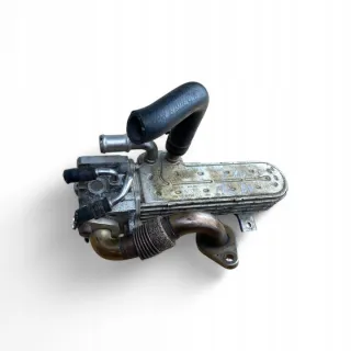 038131513AD Радиатор EGR Volkswagen Passat B6 Арт e12777032, вид 15