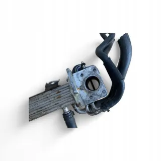038131513AD Радиатор EGR Volkswagen Passat B6 Арт e12777032, вид 6