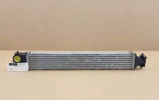 19710-5AA-A01 197105AA-A01 197105AAA01 Интеркулер Honda Civic 10 Арт e12734503, вид 1