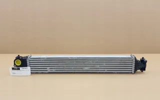 19710-5AA-A01 197105AA-A01 197105AAA01 Интеркулер Honda Civic 10 Арт e12734502, вид 1