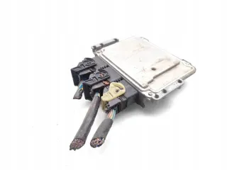 0281017831 AV21-12A650-GC Блок управления двигателем Ford Fiesta 6 Арт e12728086, вид 4