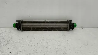 896255500 Интеркулер Fiat Doblo 2 Арт e12699927, вид 1