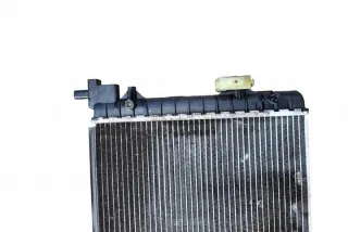 6R0121253A Радиатор (основной) Seat Ibiza 4 Арт e12530237, вид 3