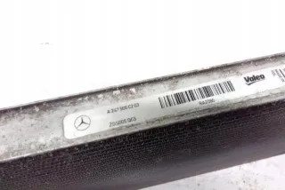 A2475000203 Радиатор (основной) Mercedes A W177 Арт e12529633, вид 4