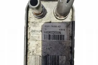 6G917A095AD Радиатор (основной) Ford Galaxy 3 Арт e12529350, вид 1