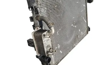 6G917A095AD Радиатор (основной) Ford Galaxy 3 Арт e12529350, вид 2