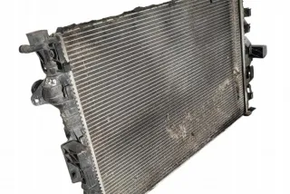 6G917A095AD Радиатор (основной) Ford Galaxy 3 Арт e12529350, вид 3