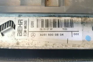 W251, A2515000303 Радиатор (основной) Mercedes R W251 Арт e12275859, вид 6