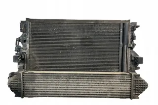 6G919L440FD Радиатор (основной) Ford Galaxy 2 Арт e12275437, вид 2