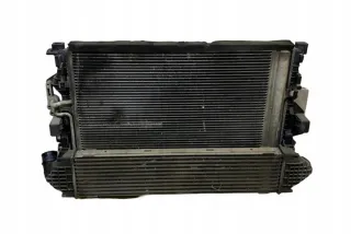 6G917A095AD Радиатор (основной) Ford C-max 2 Арт e12132203, вид 3
