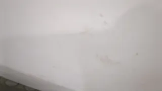  Щеткодержатель задний Dacia Sandero 2 Арт 11419441, вид 3