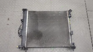 1300309,13283249 Радиатор основной Opel Meriva 2 Арт 9235760, вид 1