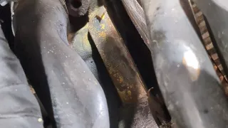 03L105266CC,04L105266B Маховик Volkswagen Passat B7 Арт 11286195, вид 2