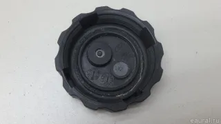2161508050 Крышка расширительного бачка SsangYong Rexton 2 Арт E70808764, вид 4