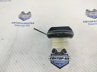 1725179921 Крышка топливного бака Nissan X-Trail T31 Арт 2-715569, вид 2