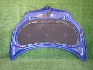 5J0,vip,MASKA Капот Skoda Fabia 2 Арт AL17685253997, вид 11