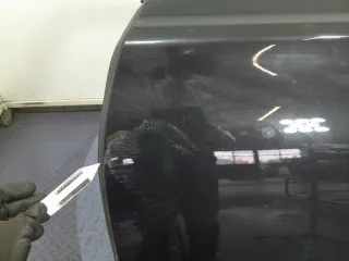 305945,Lochow Дверь задняя левая BMW 7 G11/G12 Арт AL17731463787, вид 5