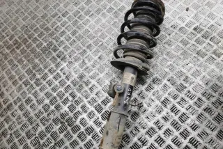 6750360 Амортизатор передний правый BMW X5 E53 Арт AL17620164177, вид 1