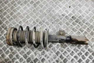 6750360 Амортизатор передний правый BMW X5 E53 Арт AL17620164177, вид 2