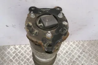 600635200C Амортизатор задний левый Tesla model S Арт AL17668001280, вид 5