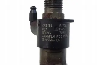 0445116043 Форсунка Land Rover Freelander 2 Арт AL17646072167, вид 1