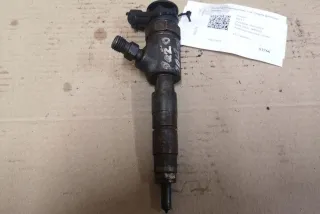 0445110339 Форсунка Citroen C3 2 Арт AL17646407084_2, вид 1