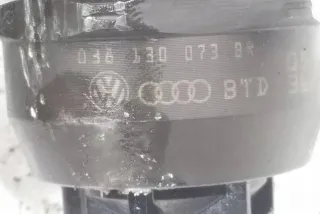 038130073BR Форсунка Volkswagen Caddy 3 Арт AL17647469307, вид 2